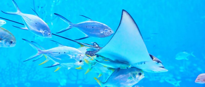 国庆重庆亲子游好去处推荐开元棋牌app2025(图4) 国庆重庆亲子游好去处推荐开元棋牌app2025(图4)