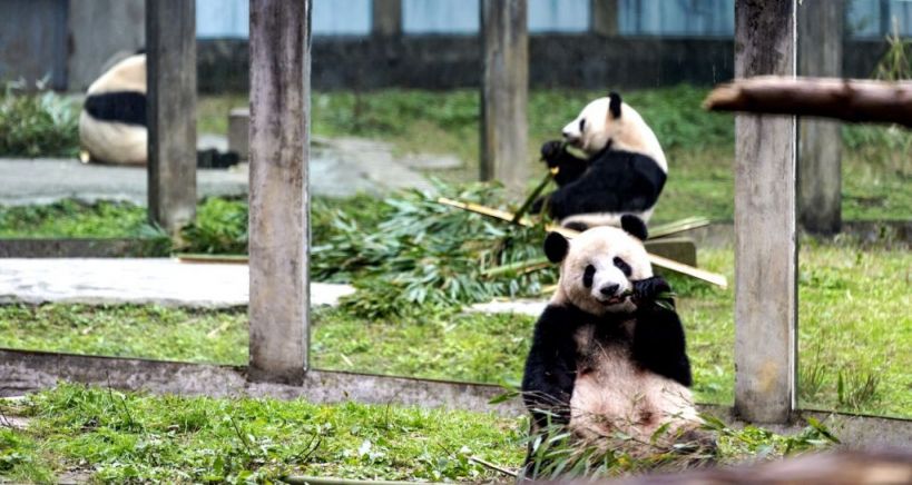 国庆重庆亲子游好去处推荐开元棋牌app2025(图3) 国庆重庆亲子游好去处推荐开元棋牌app2025(图3)